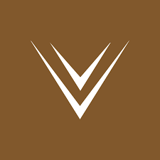 V-Marine logo